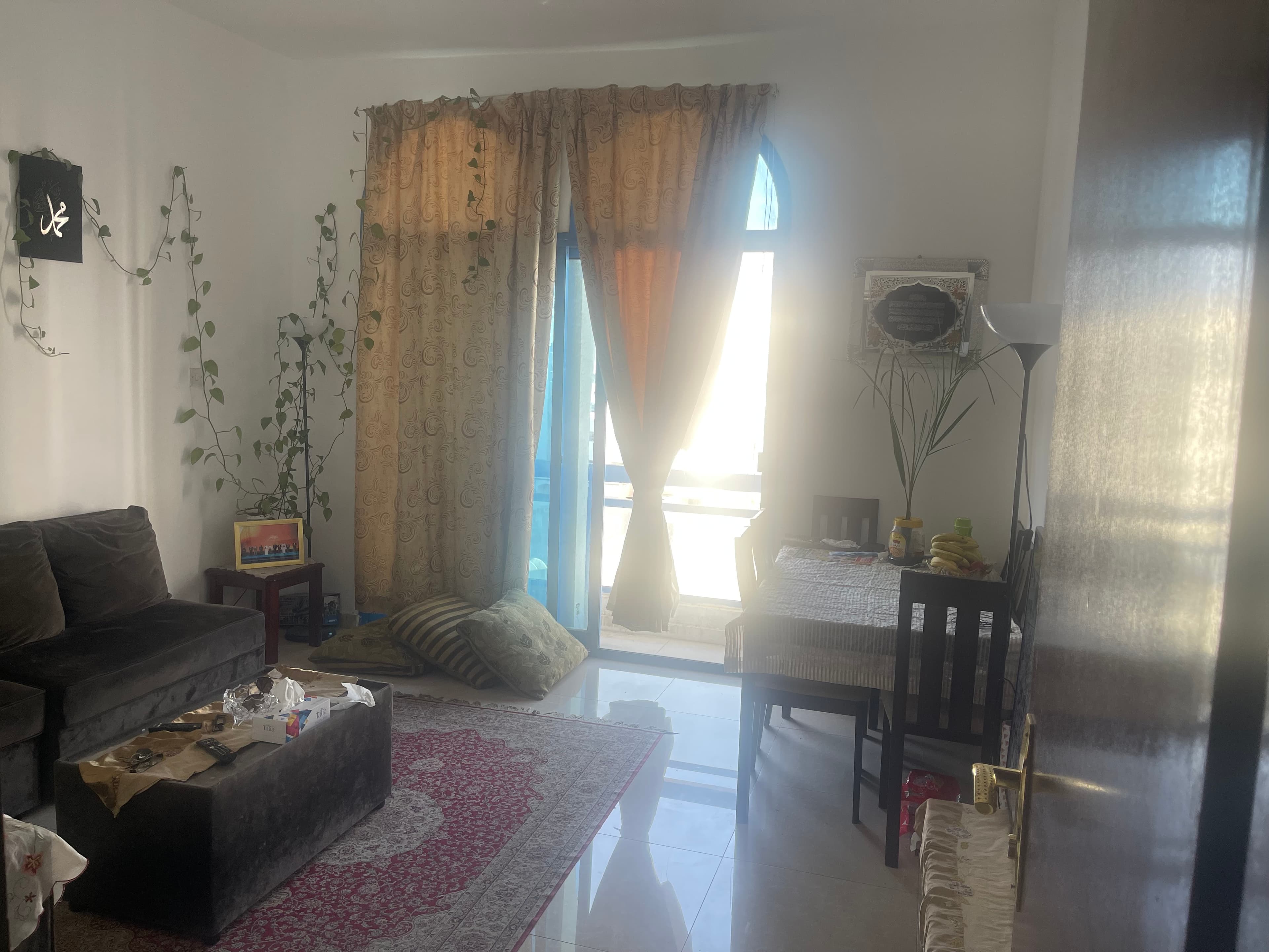 مشاركة سكن 0