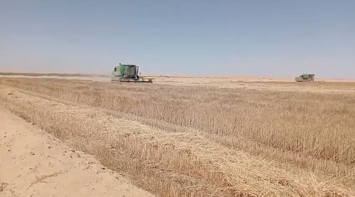Farm For sale in New Valley 1