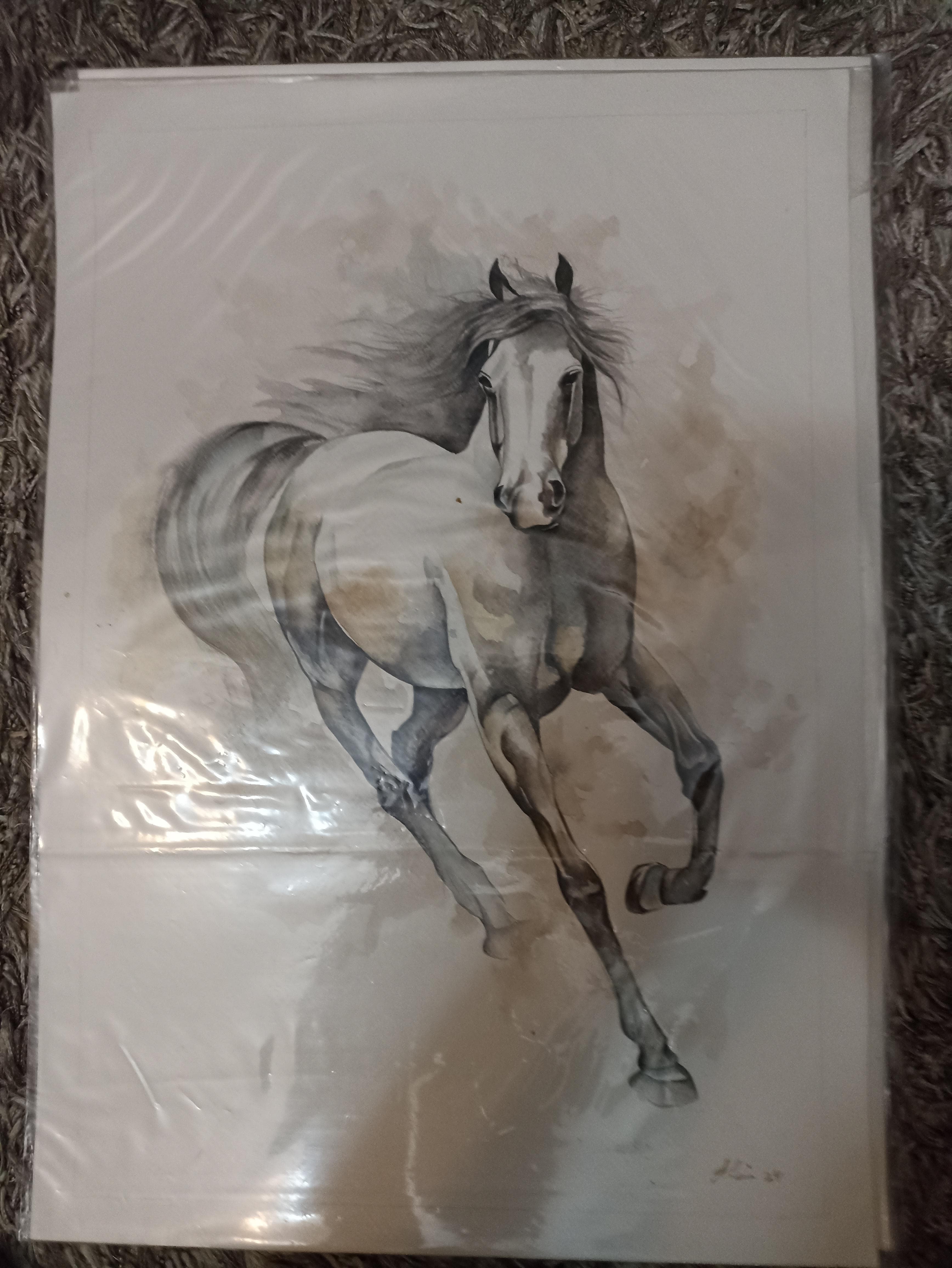 لوحات زيتيه رسم يدوي وليست طباعه 1