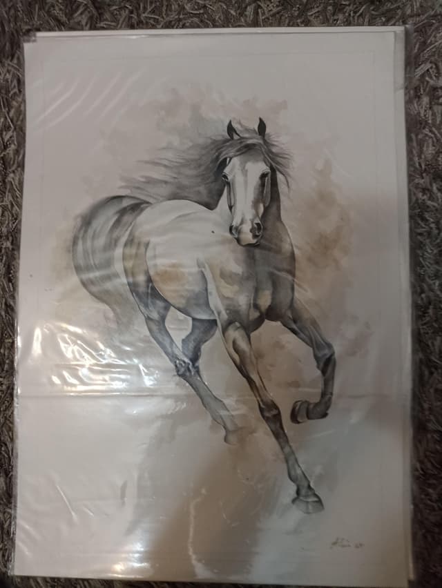 لوحات زيتيه رسم يدوي وليست طباعه
