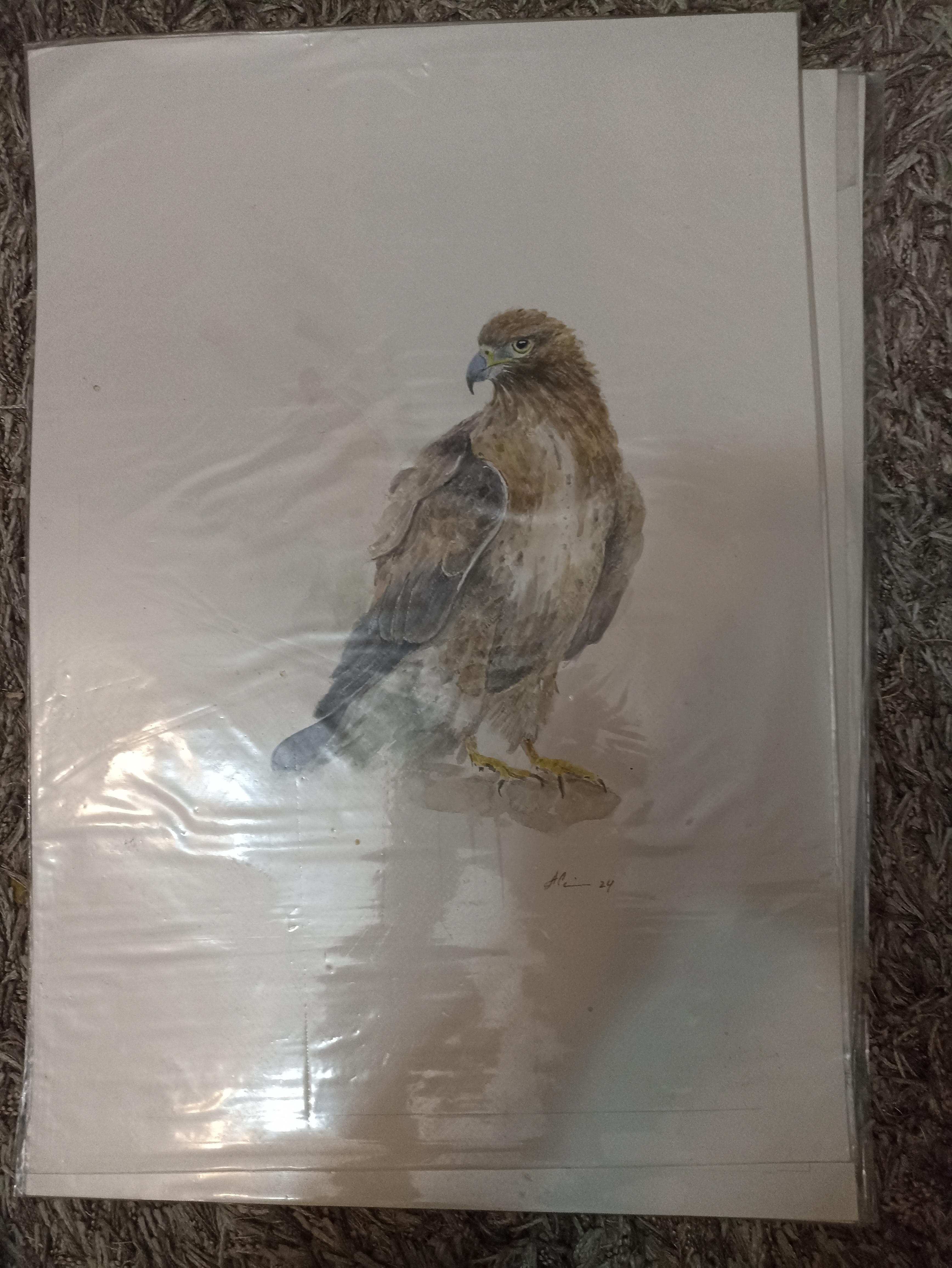 لوحات زيتيه رسم يدوي وليست طباعه 2
