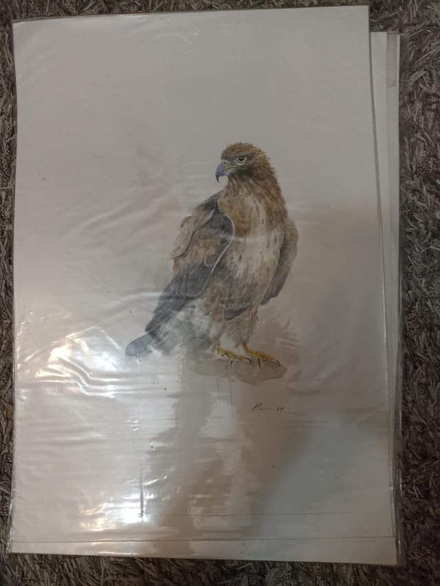 لوحات زيتيه رسم يدوي وليست طباعه