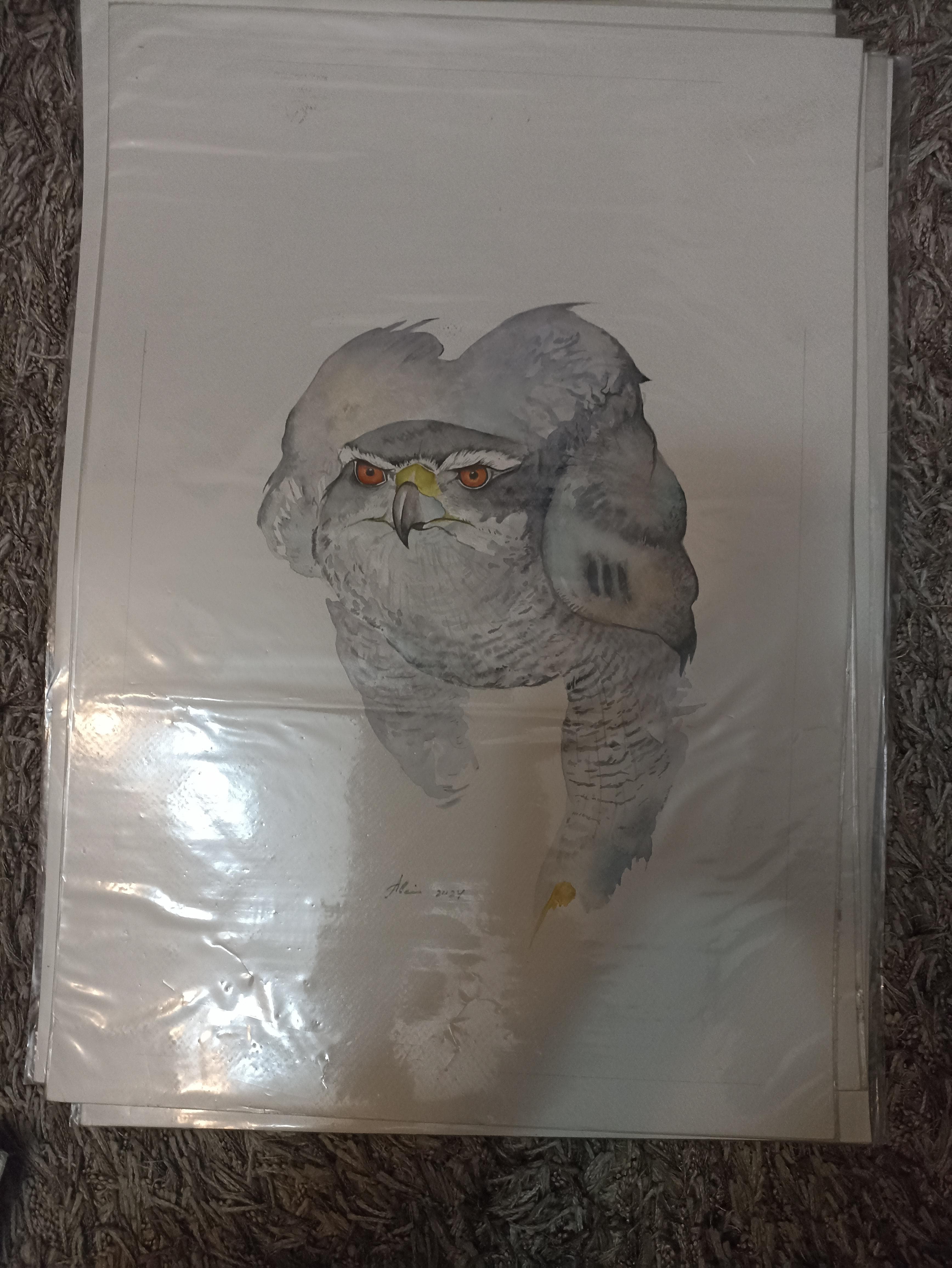 لوحات زيتيه رسم يدوي وليست طباعه 4