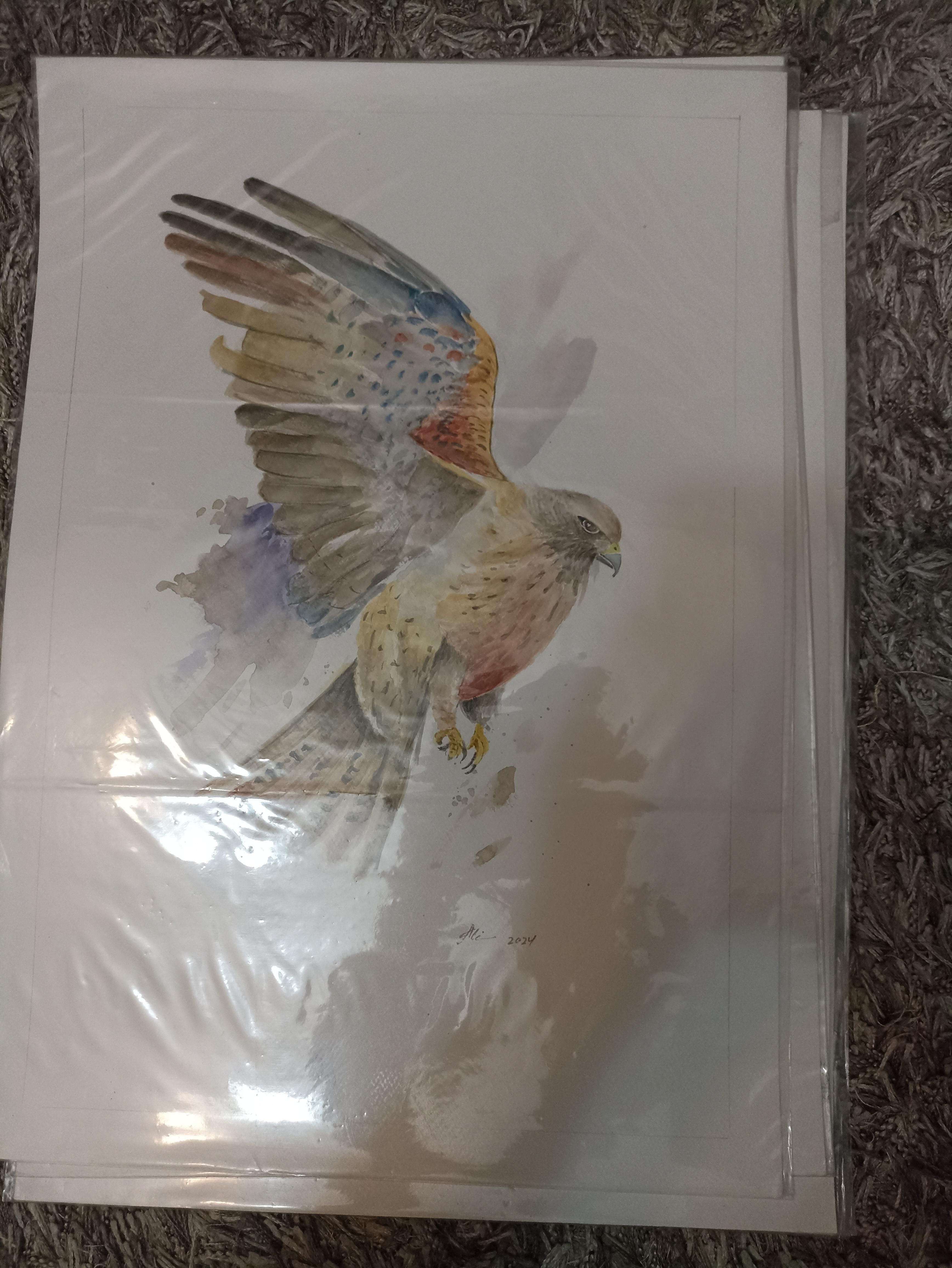 لوحات زيتيه رسم يدوي وليست طباعه 5