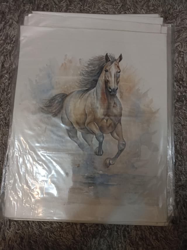 لوحات زيتيه رسم يدوي وليست طباعه