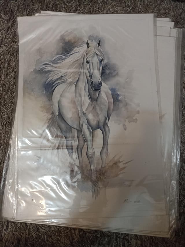 لوحات زيتيه رسم يدوي وليست طباعه