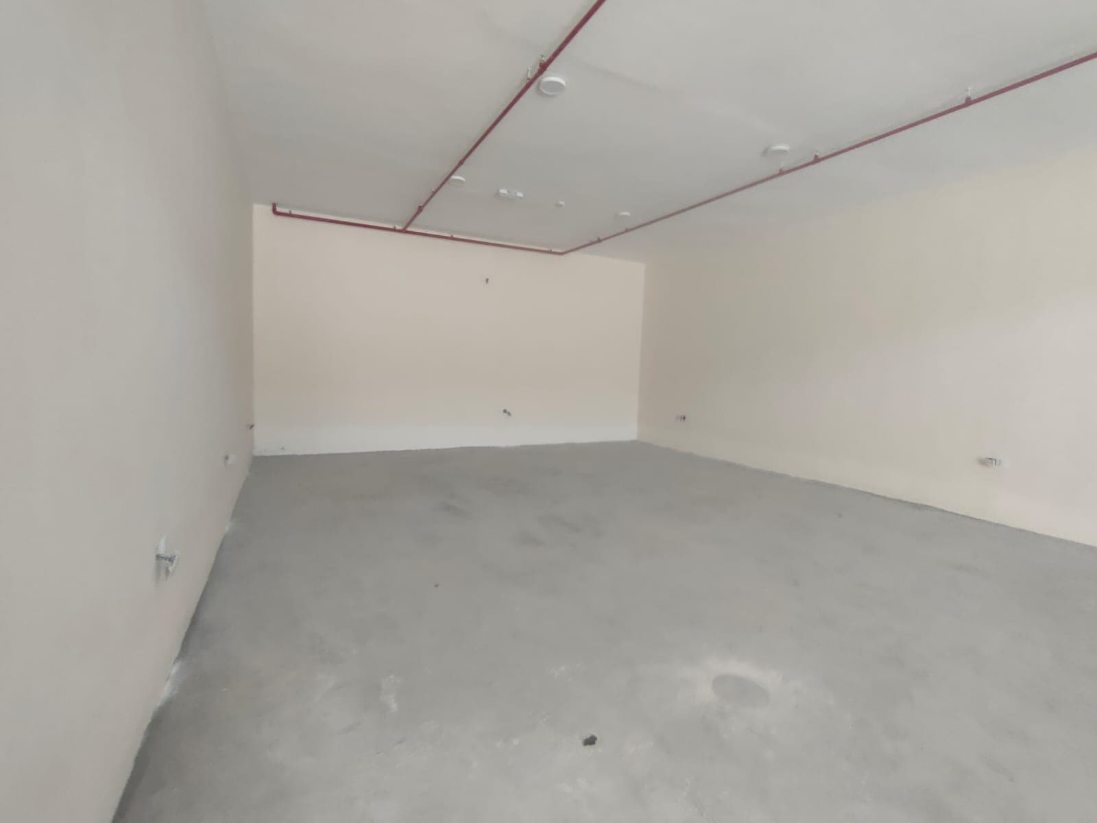  For rent: a distinctive shrubrat group in a strategic location 11