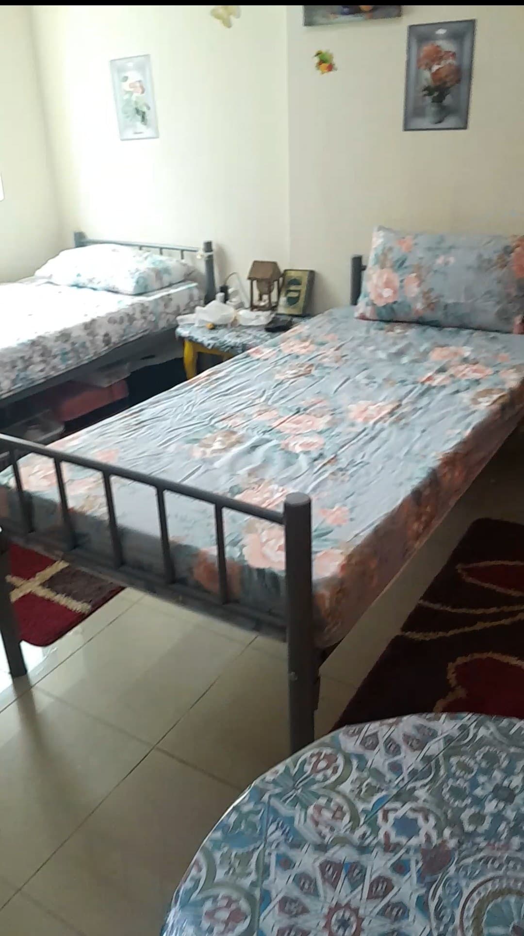 Accommodation for girls only in Al Nahda Dubai 0