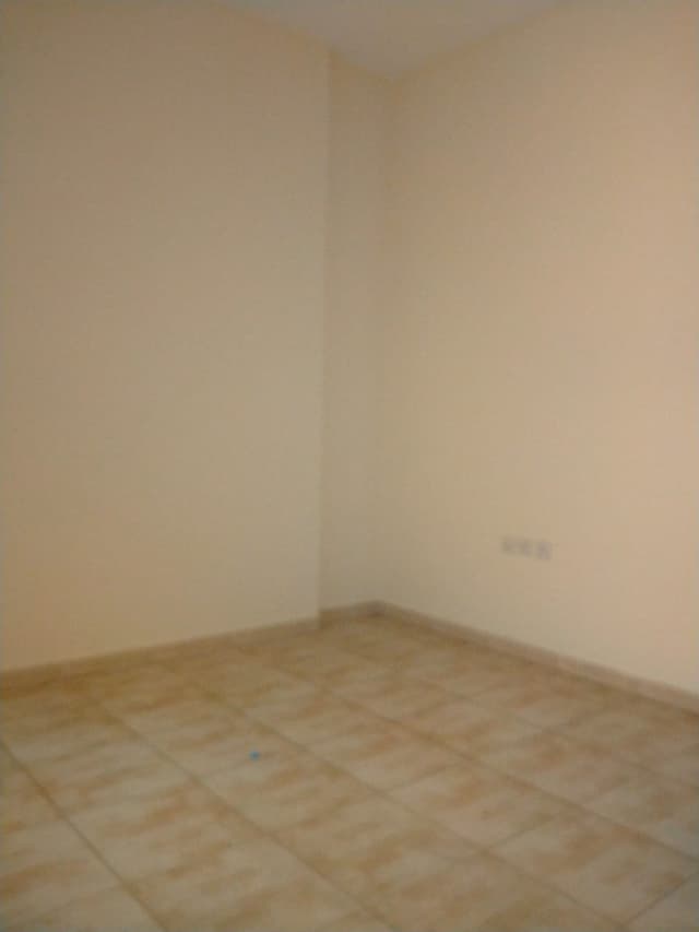 For annual rent in Al Qasimia, Al Nad