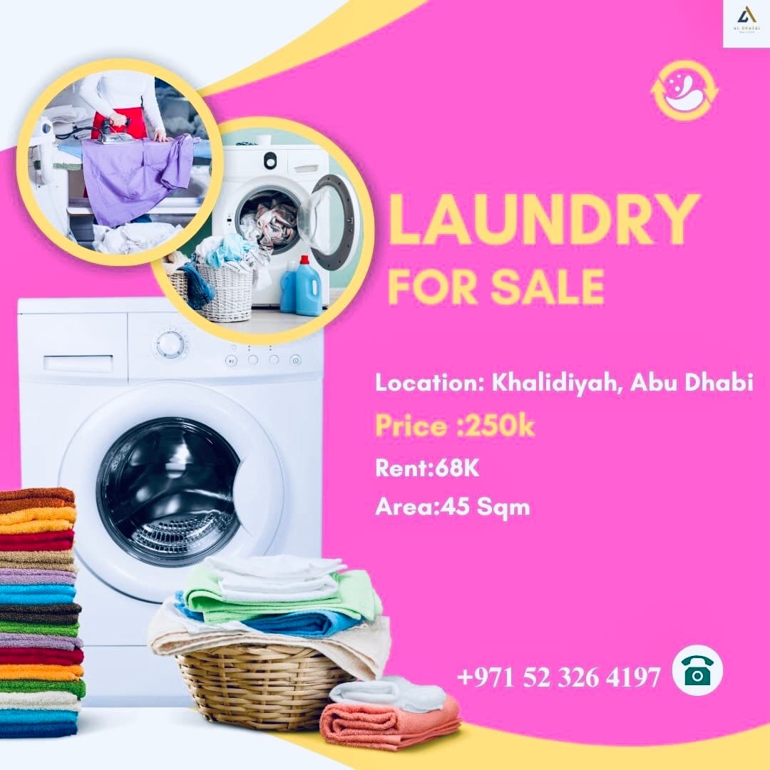 Laundry for Sale 0
