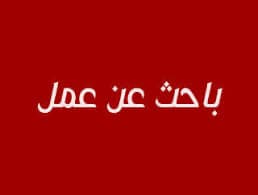 ابحث عن عمل سكرتارية  0
