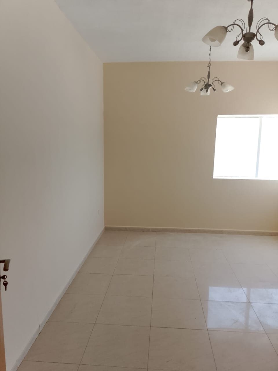 One bedroom apartment for rent in Al Qasimia 3