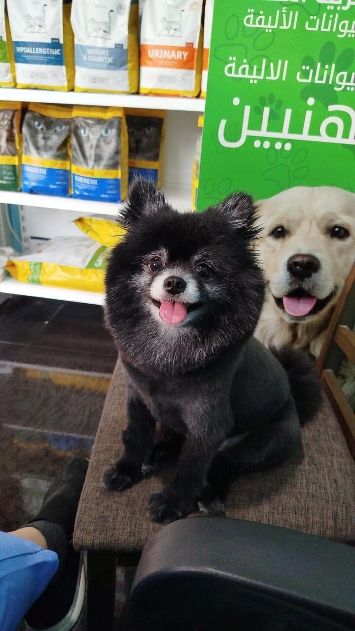 A veterinary clinic for the care of pets, Groming 0