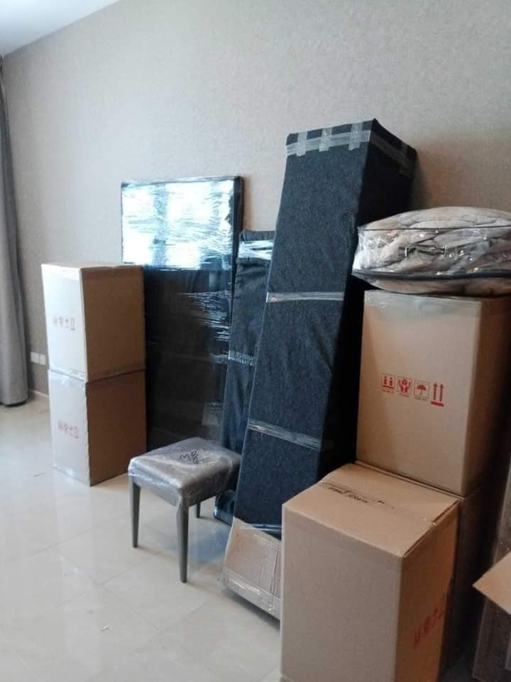 Movers & Packers 1