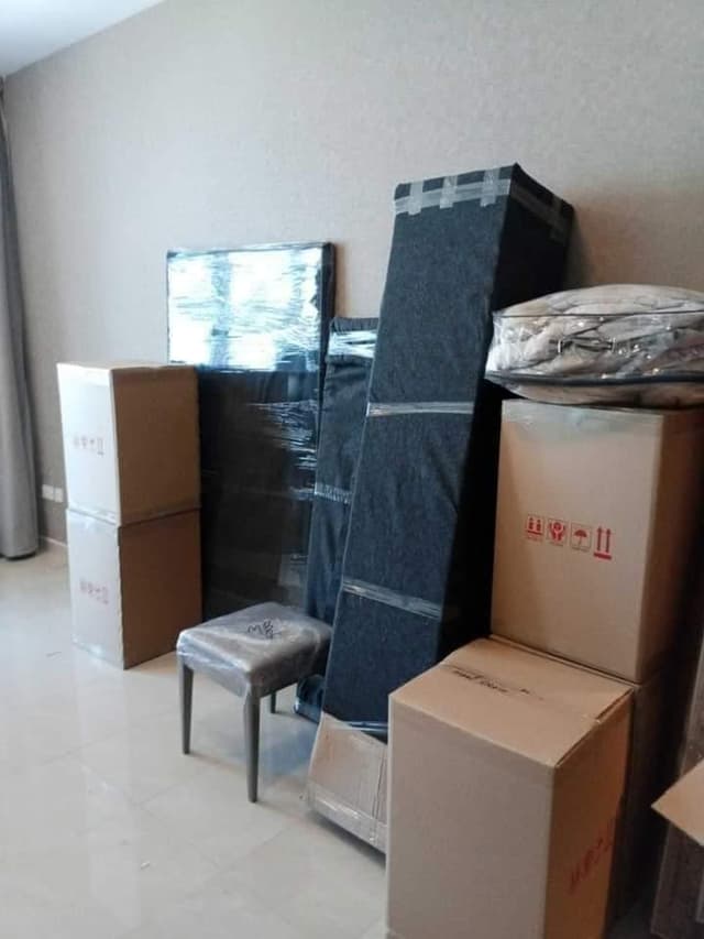 Movers & Packers