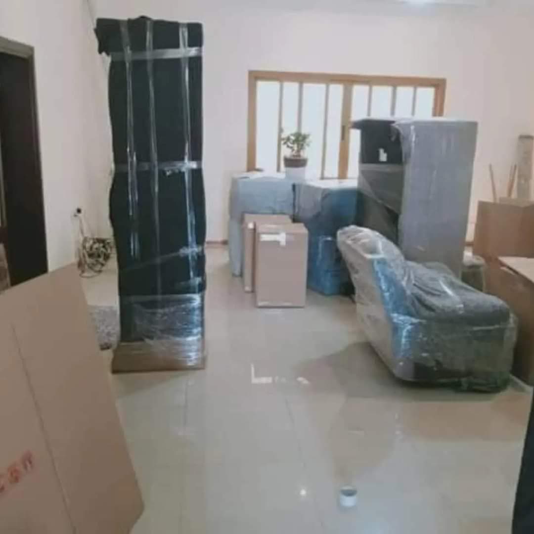 Movers & Packers 3
