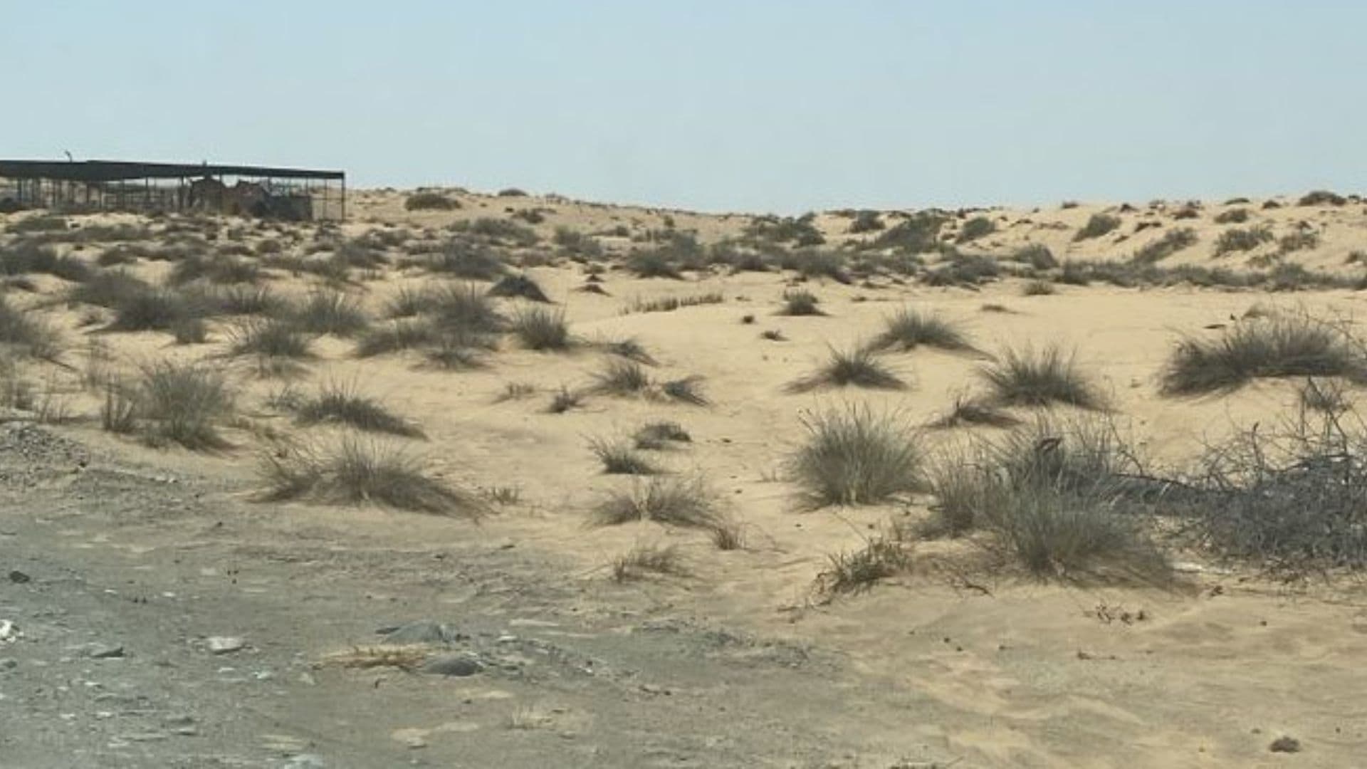 Al Sajaa R4 project is a distinctive industrial land in Sharjah 9
