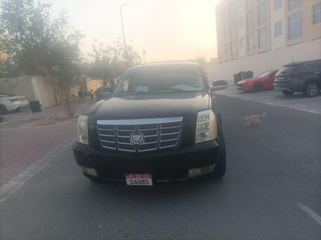 كابينة مزدوجة لشاحنة إسكاليد إكست بيك أب