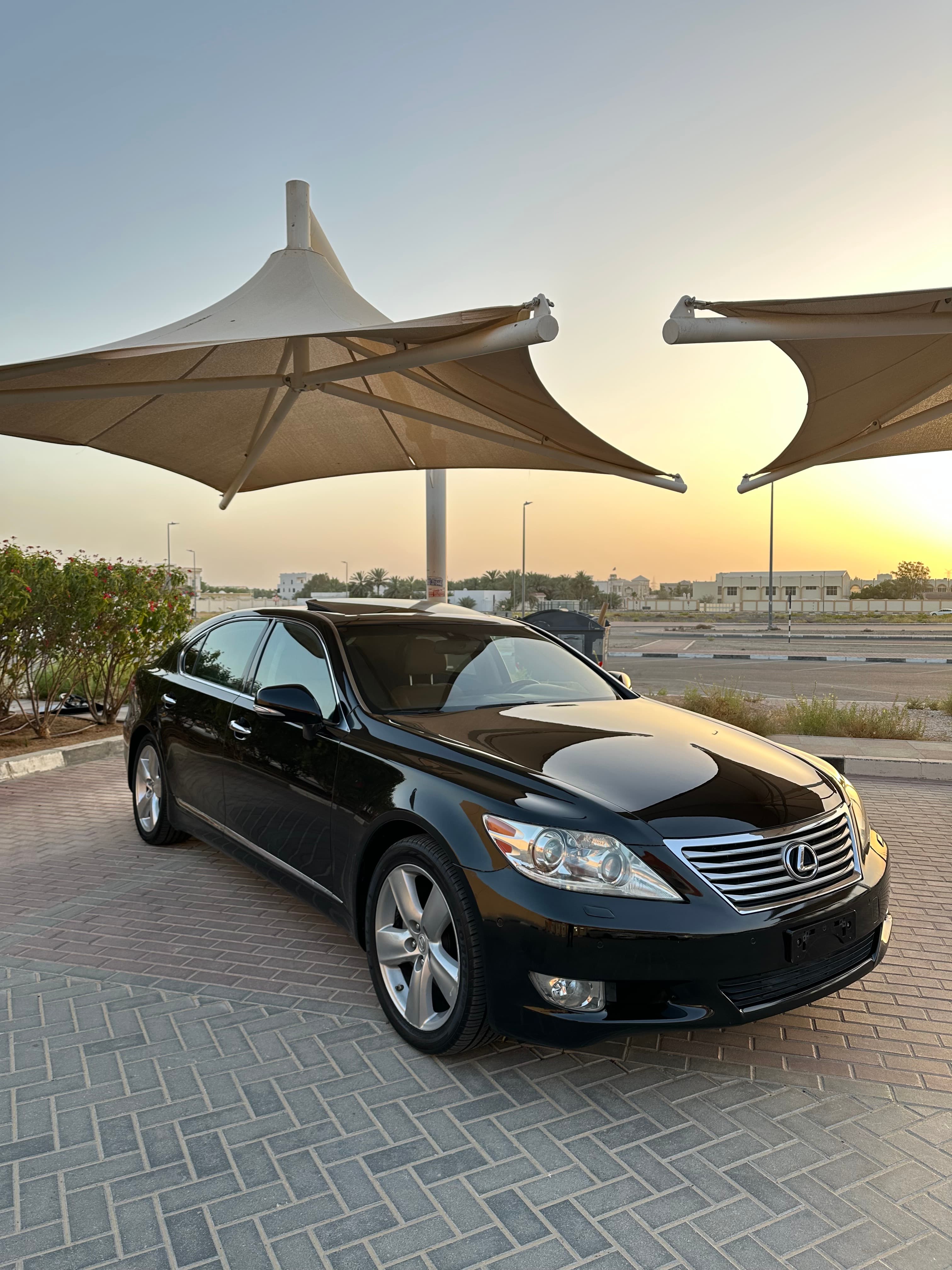 لكزس LS460 الكبيرة 2010 vip 1