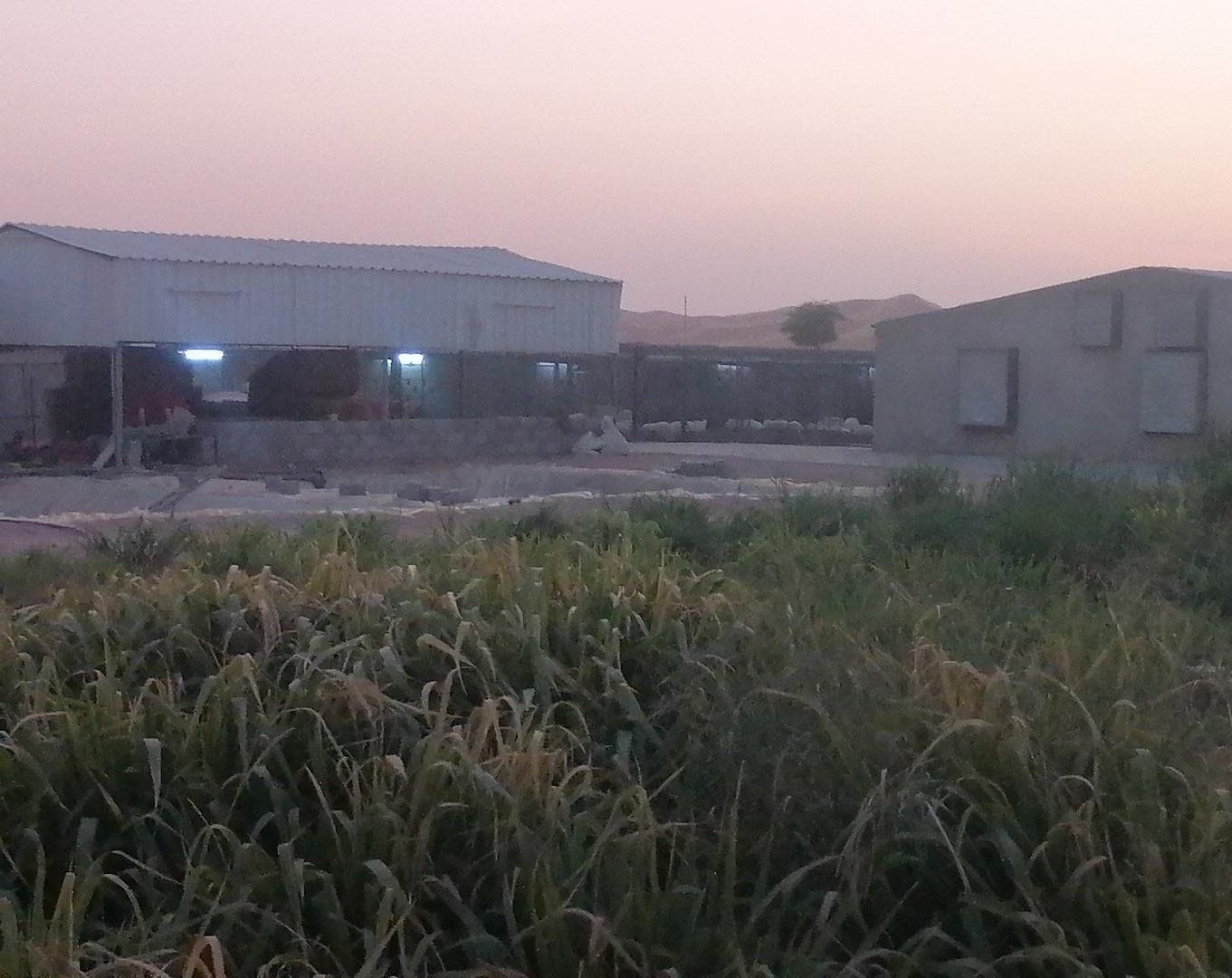 عزبة للبيع في رماح 4