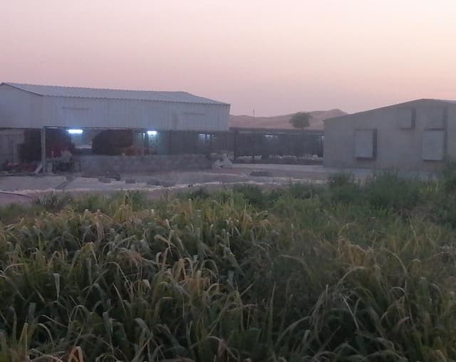 عزبة للبيع في رماح