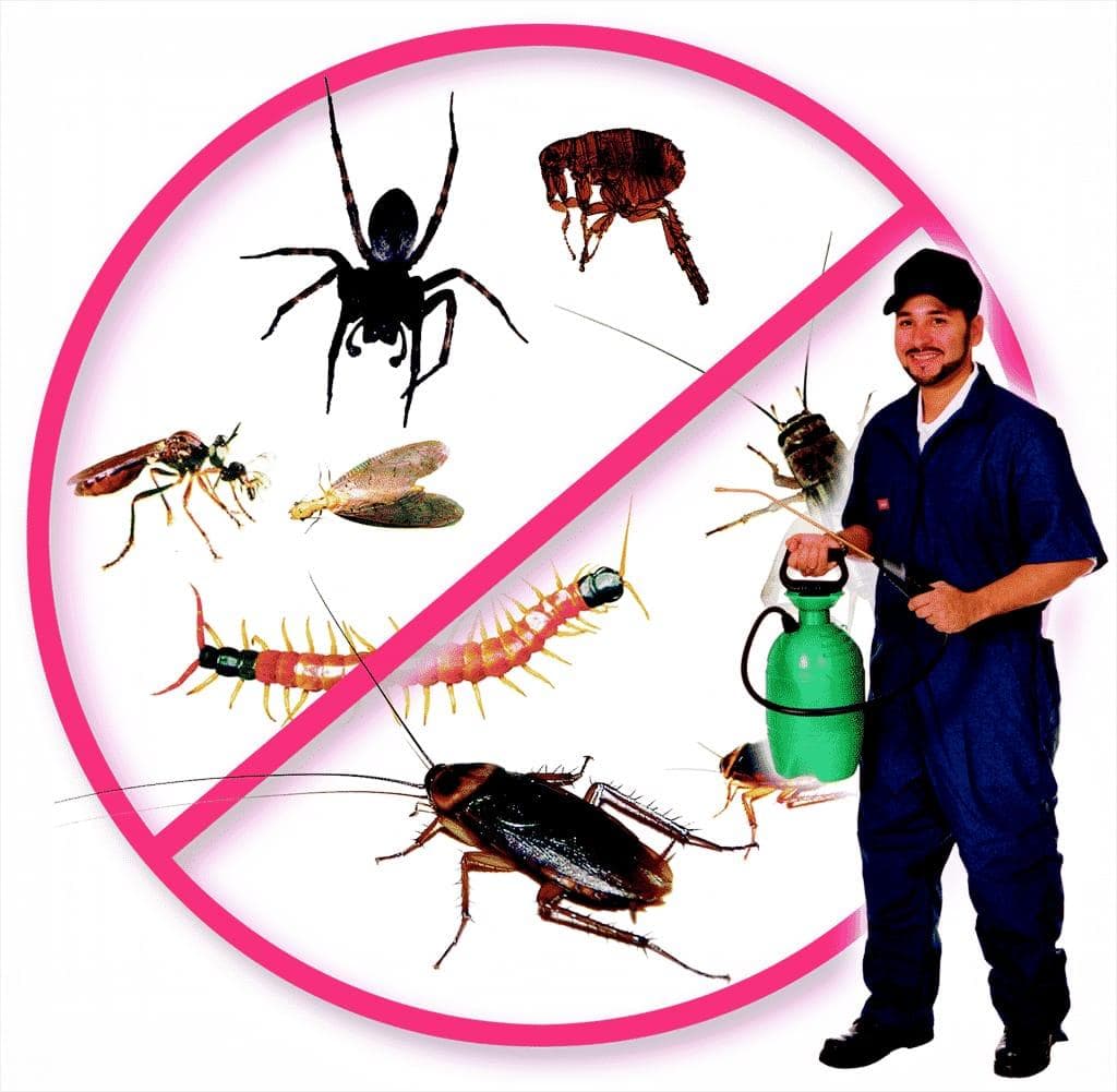 Pest control company 0