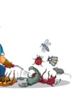Pest control company in Ras Al Khaimah 0