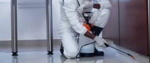 Pest control company in Sharjah 0