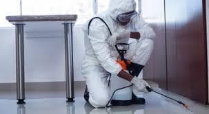 Pest control company in Sharjah 0