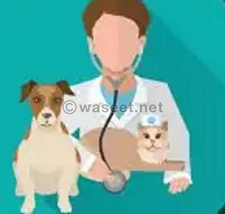 I am looking for a veterinarian 0
