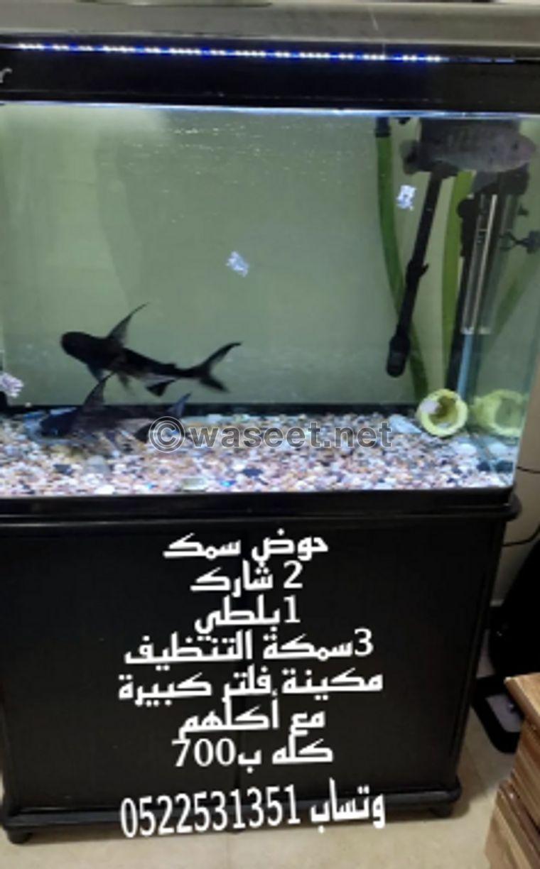 Fish with aquarium for sale 1