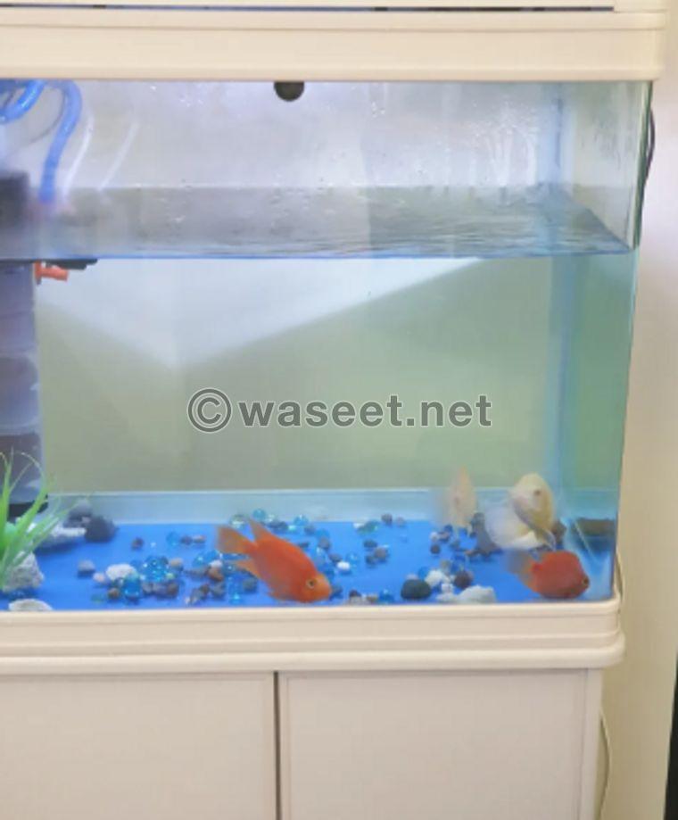 Fish tank for sale 1