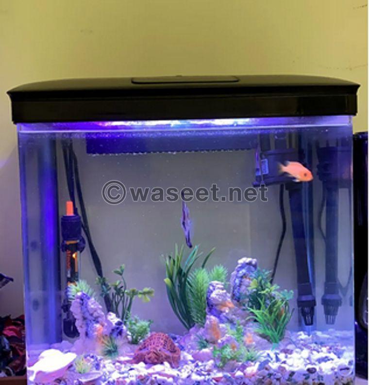 fish tank for sale 1
