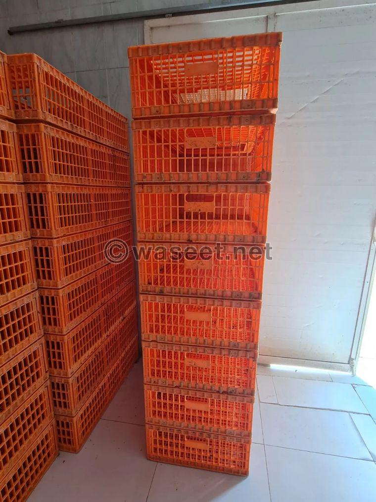 Poultry cartons used 0