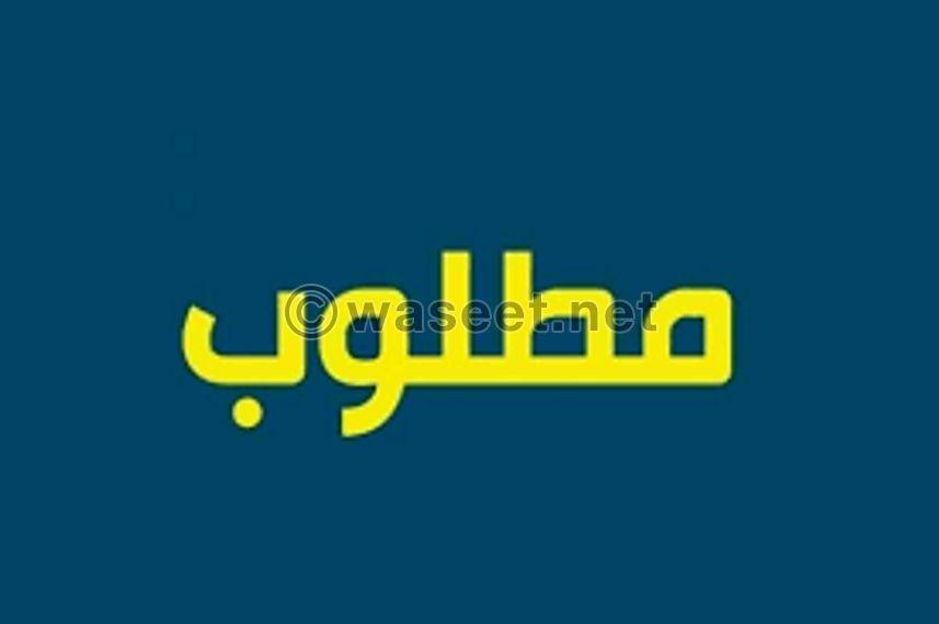 مطلوب معلم لغة عربية 0