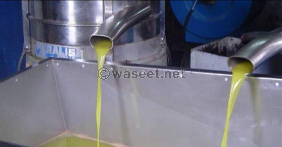 Premium Syrian Olive Oil 0