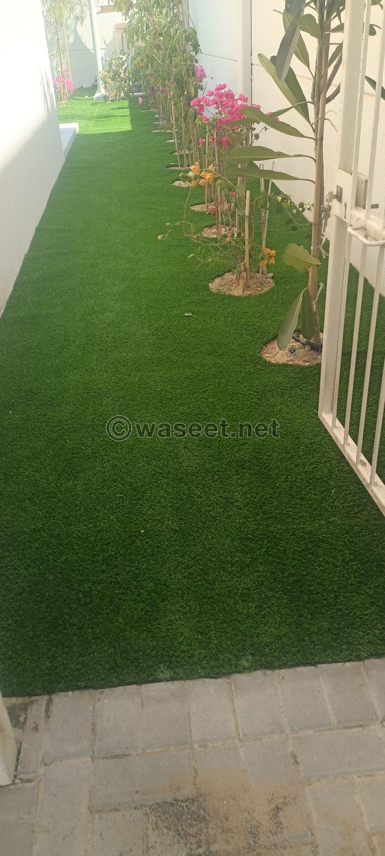 Carpet and artificial grass 1