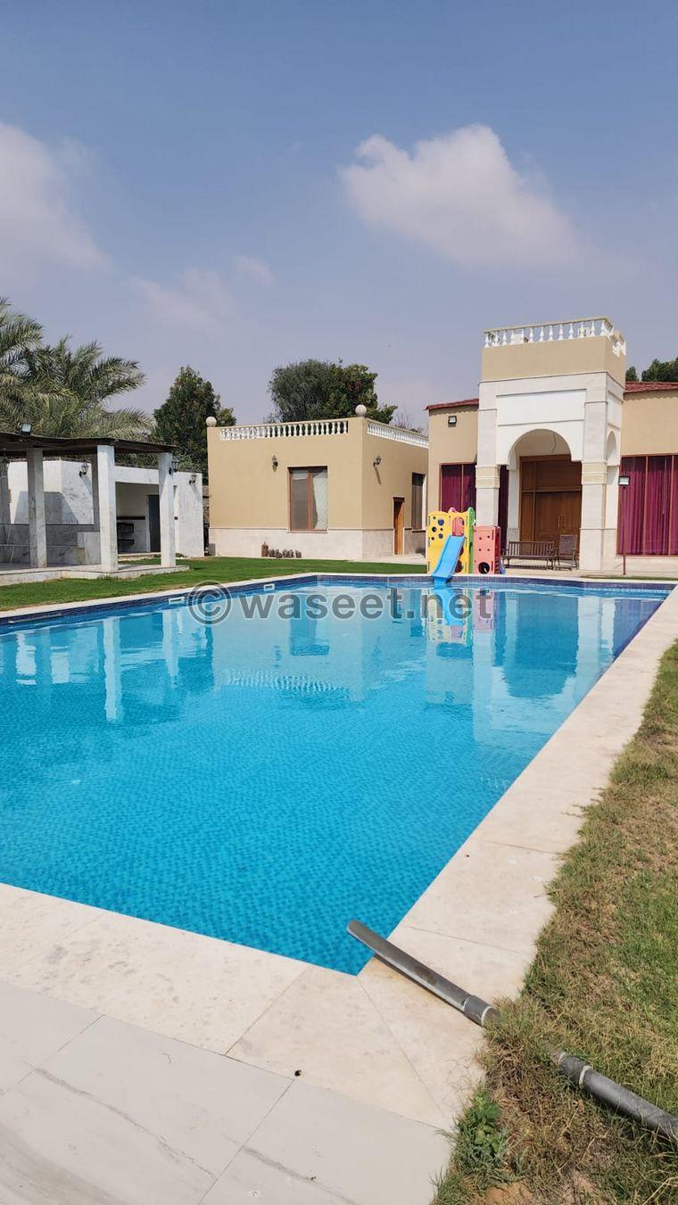 For daily rent a farm in Ajman 1
