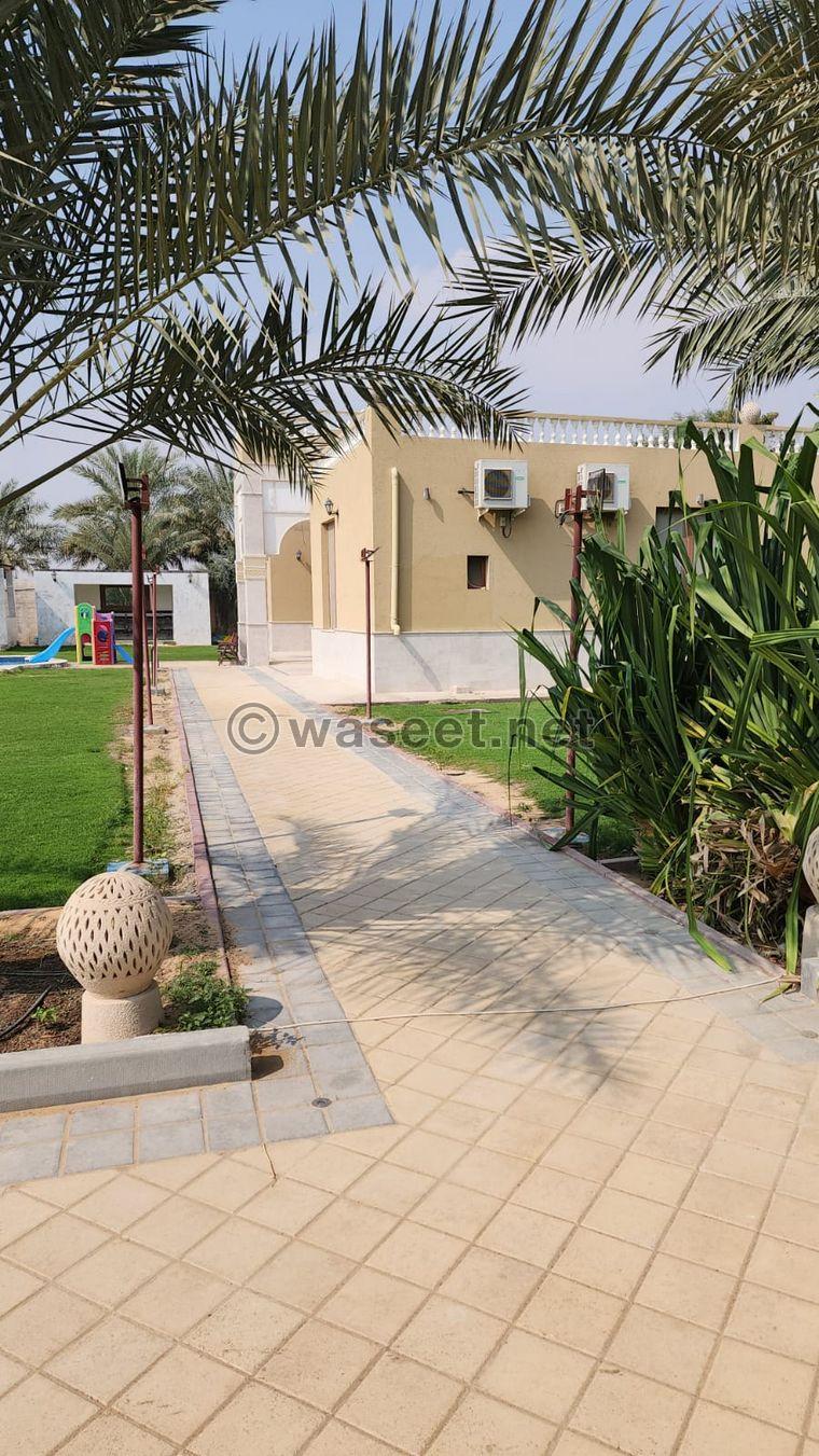 For daily rent in Ajman, a farm in Helio 3