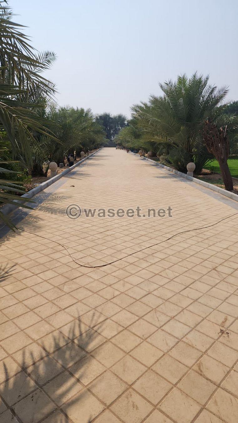 For daily rent in Ajman, a farm in Helio 4