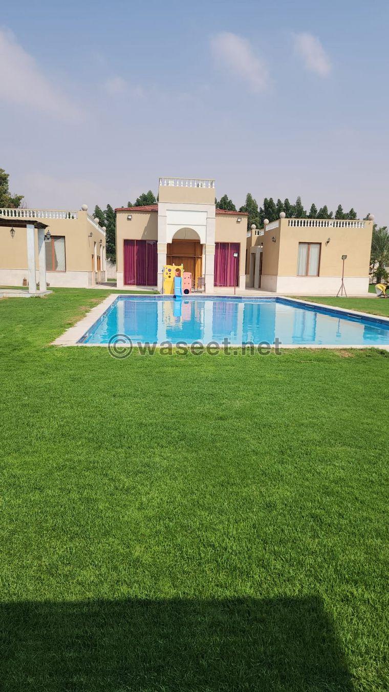 For daily rent in Ajman, a farm in Helio 5