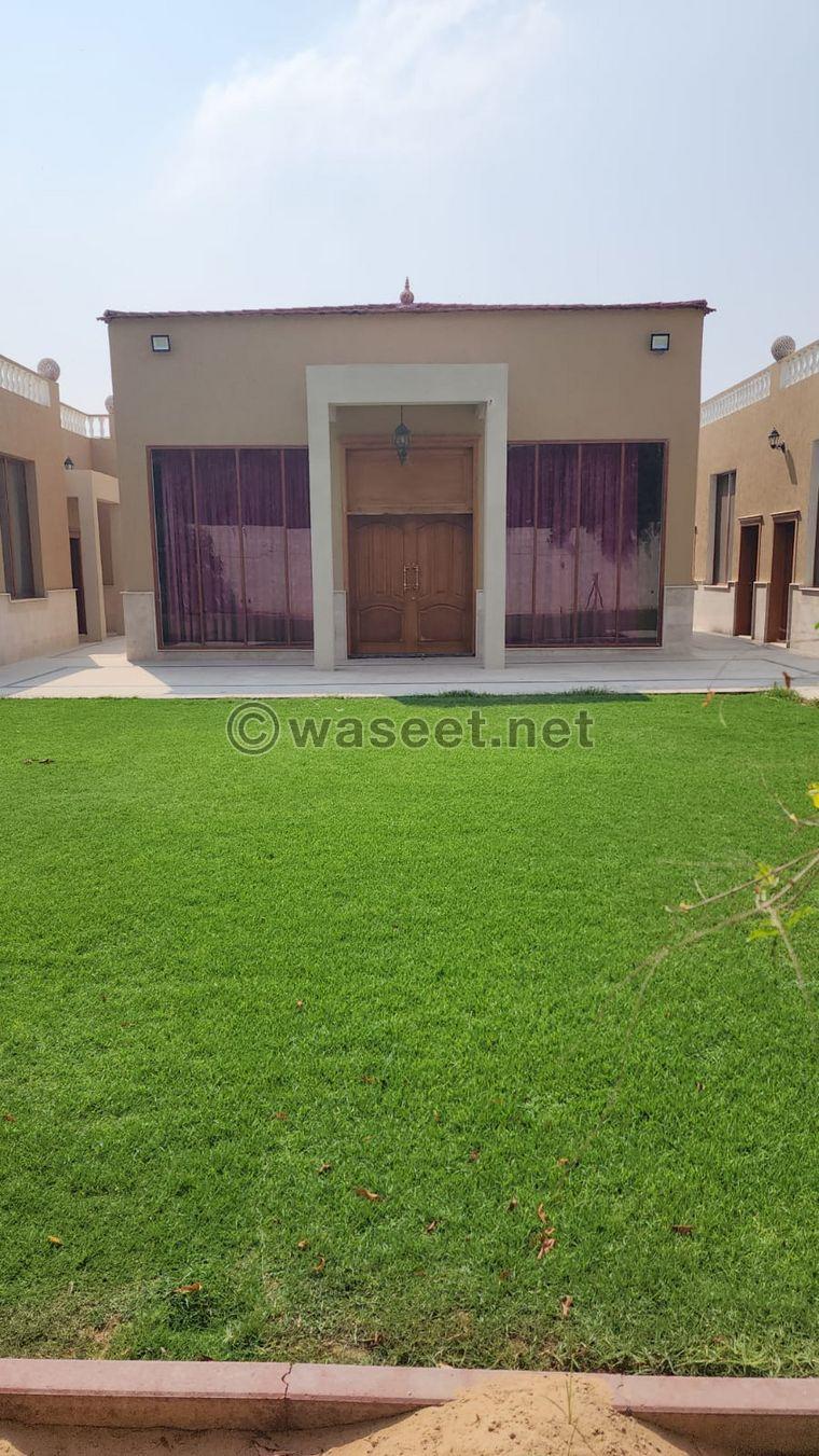 For daily rent in Ajman, a farm in Helio 6