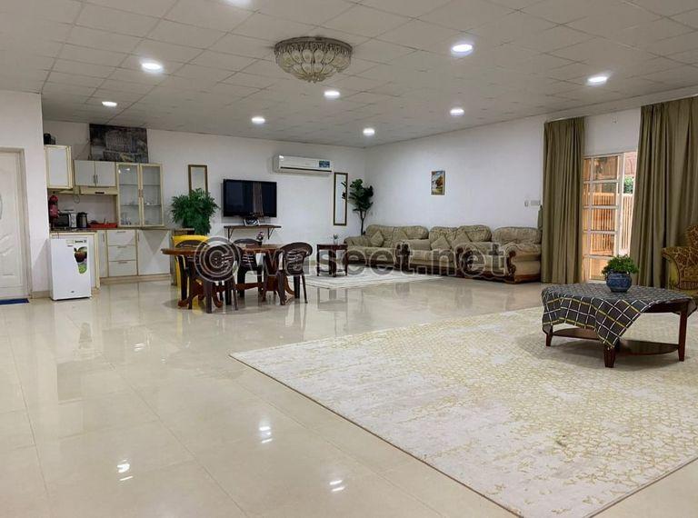 For daily rent in Ajman, a farm in the Helio area 0