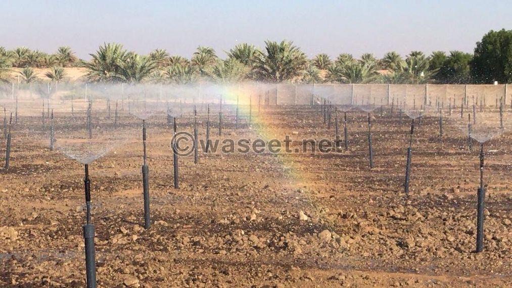 A farm for rent with everything in Ain Al Anka  2