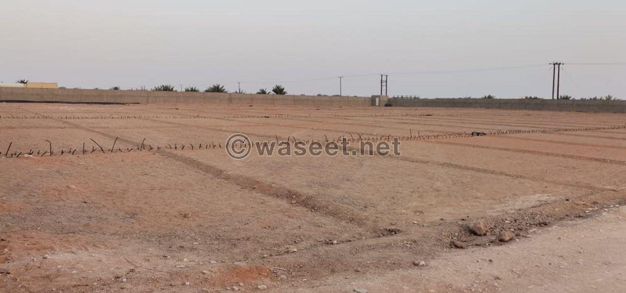 A farm for rent with everything in Ain Al Anka  3