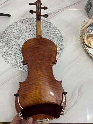 Luxury German violin