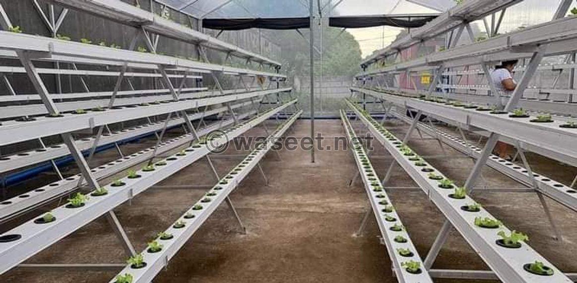 Modern vertical agriculture  11
