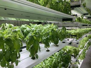 Climate control for indoor and modern agriculture 