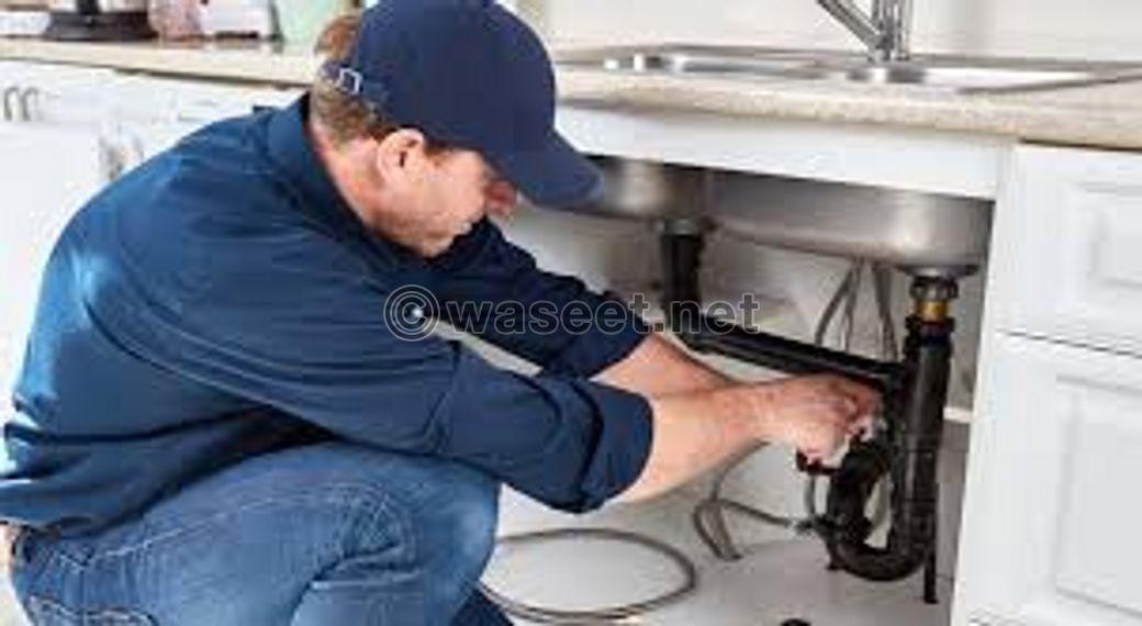 Professional plumbers  1