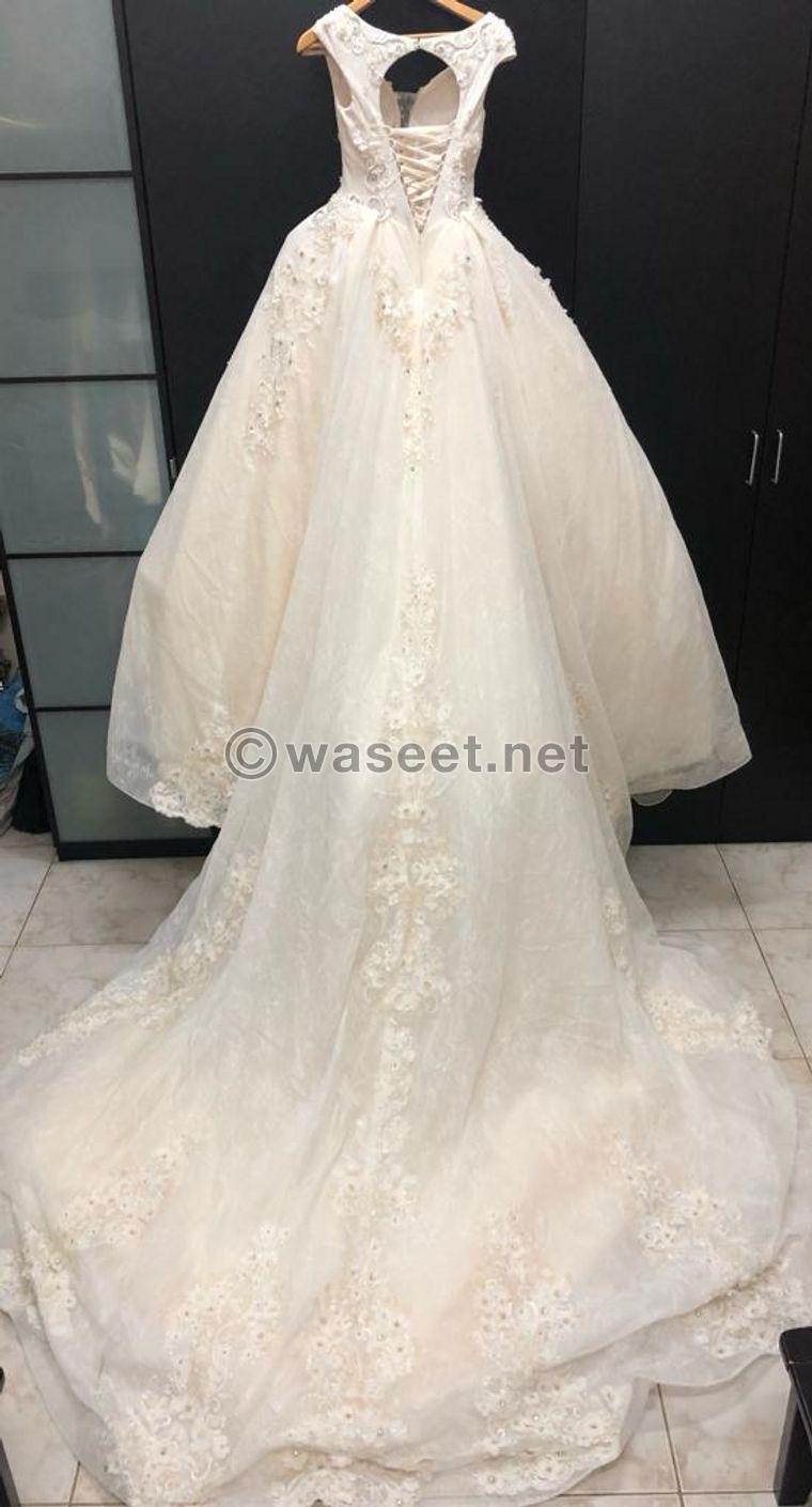 Wedding Dress/Wedding Dress 1